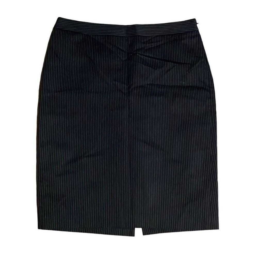 Ann Taylor Pencil Skirt